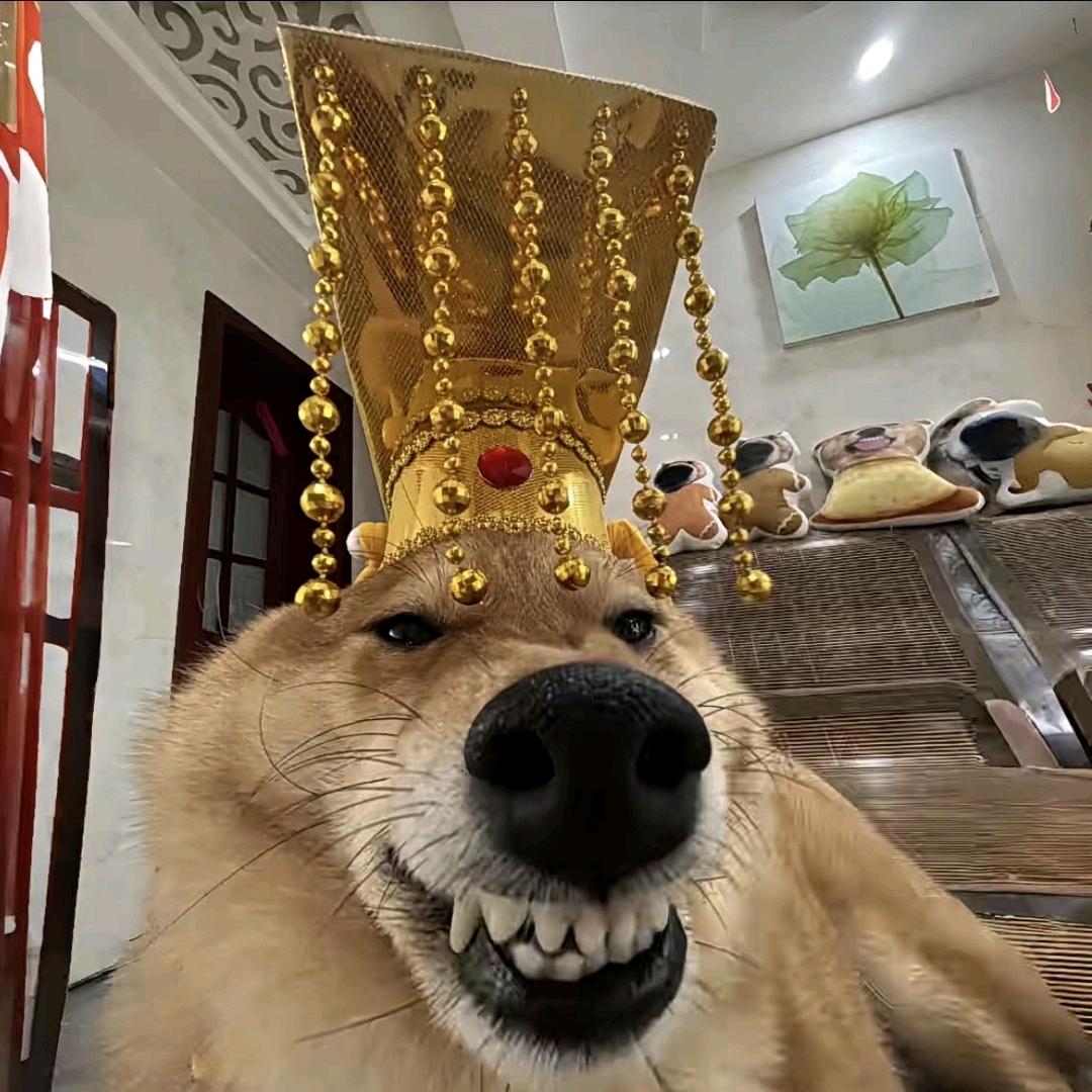 飞吧～