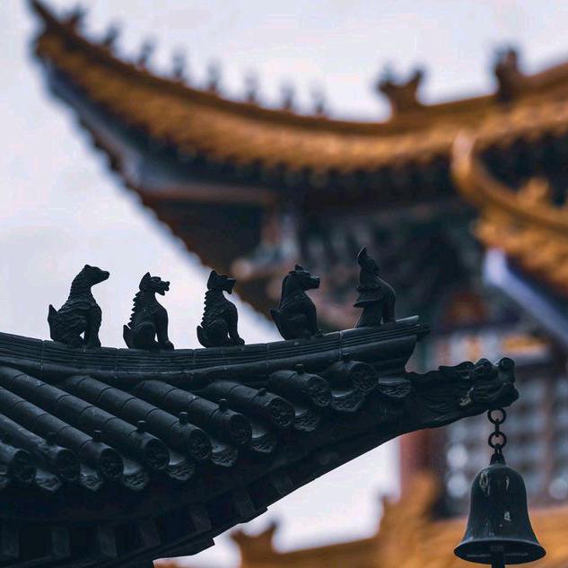 普陀山流通