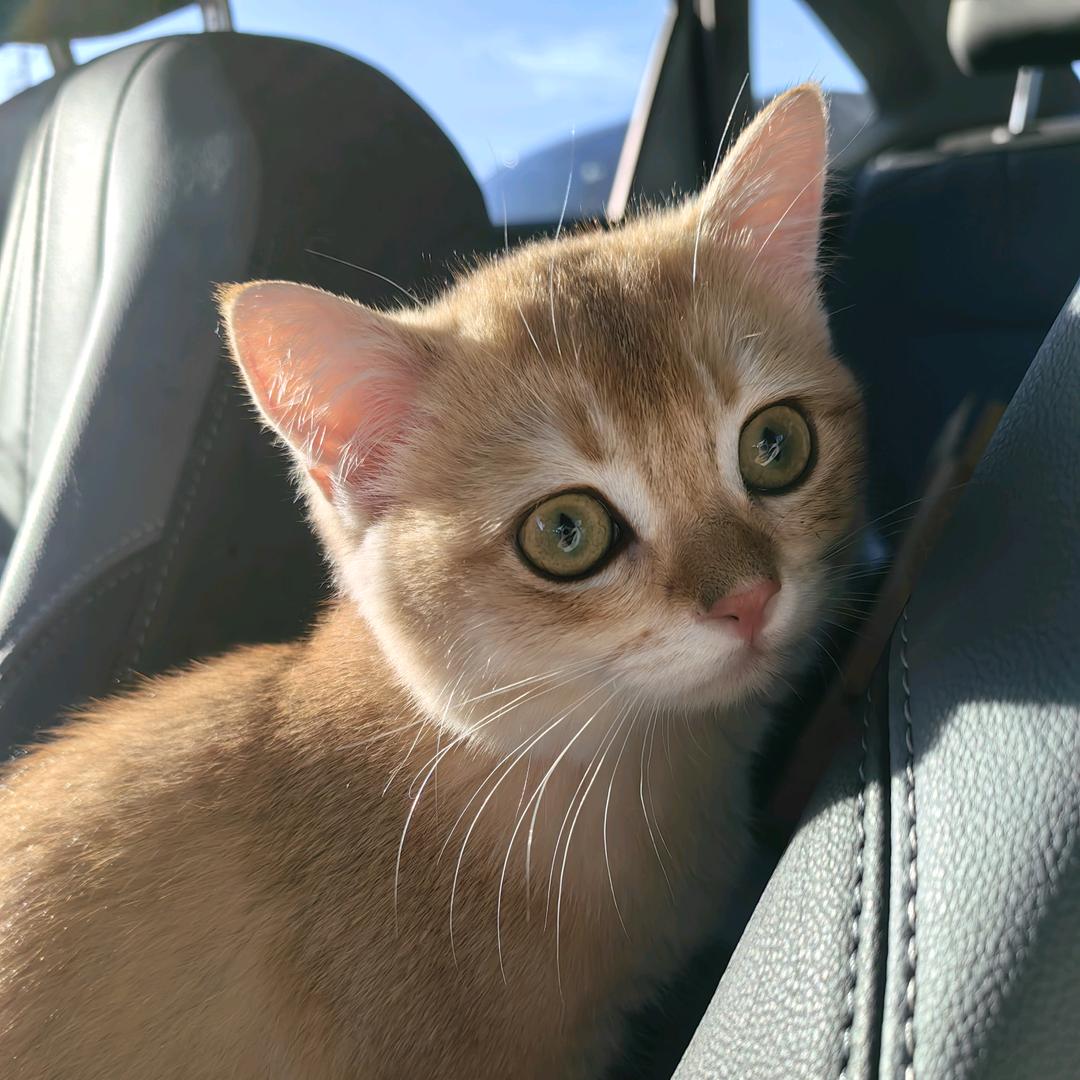 这个看脸的世界