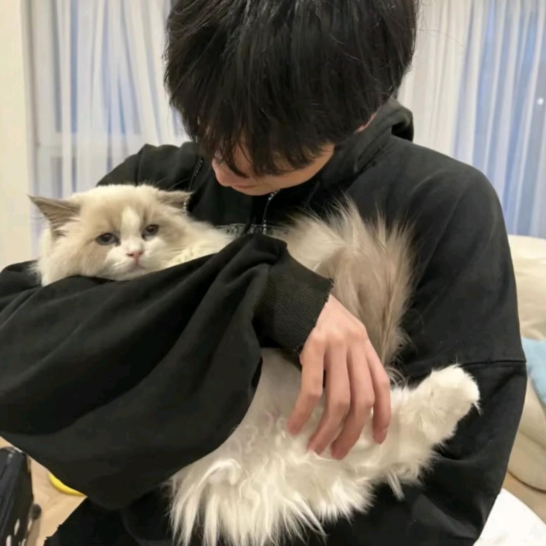 南瓜才是瓜