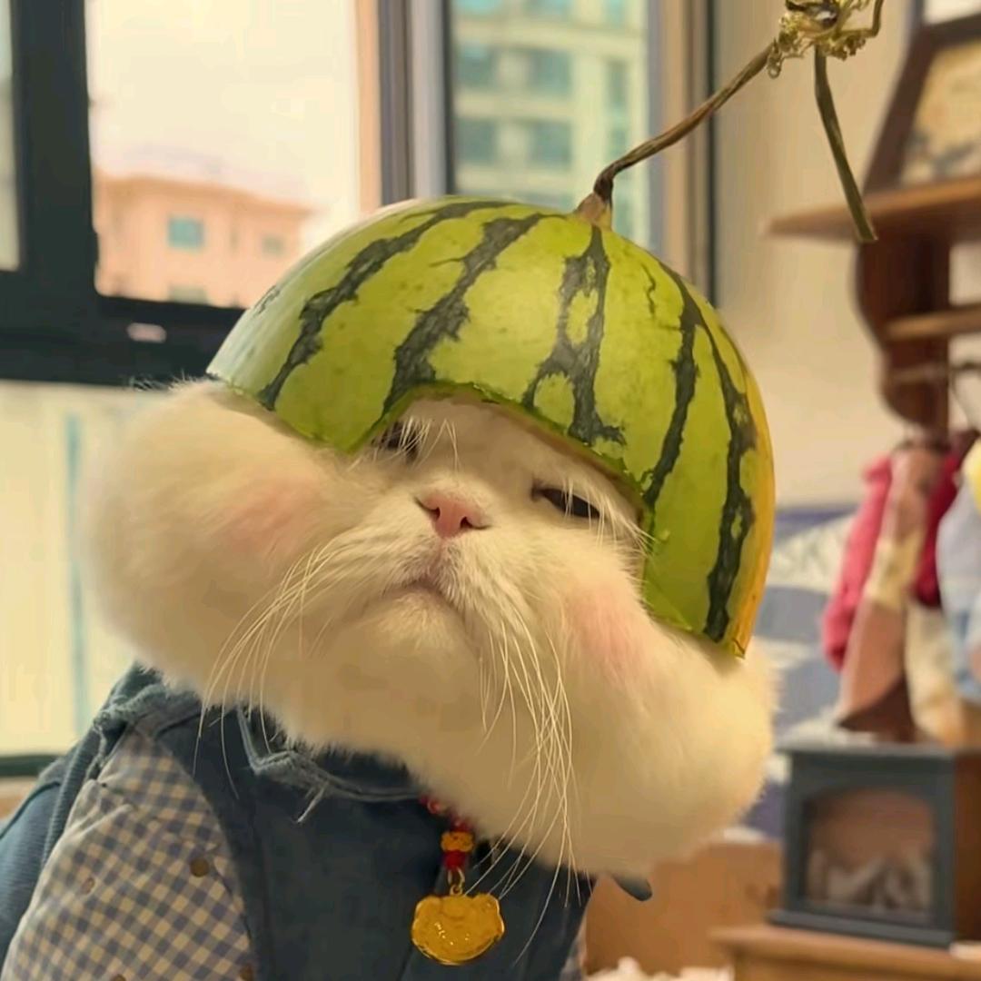 🌈小凡要开心🐉