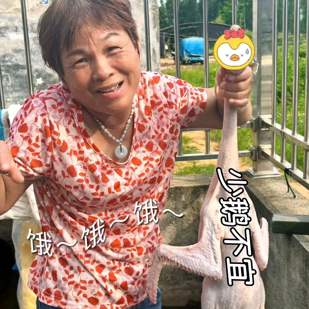 麦麦丽
