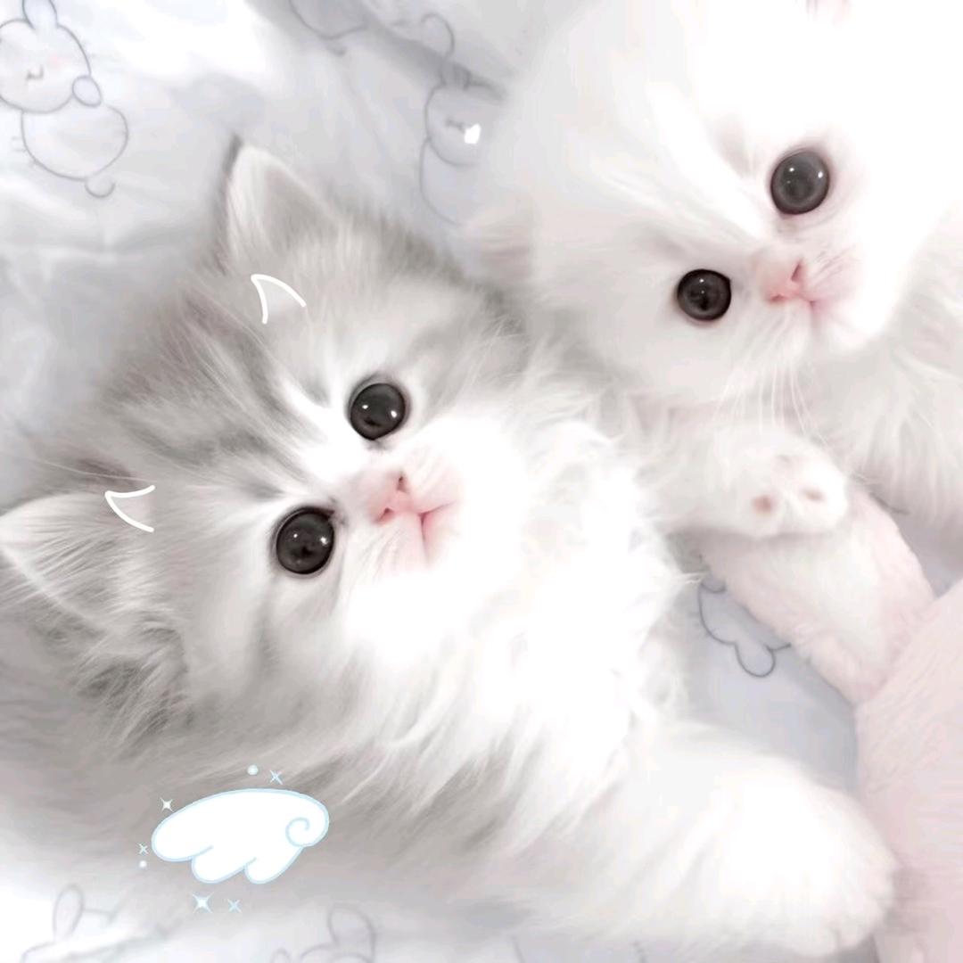 小海^ω^