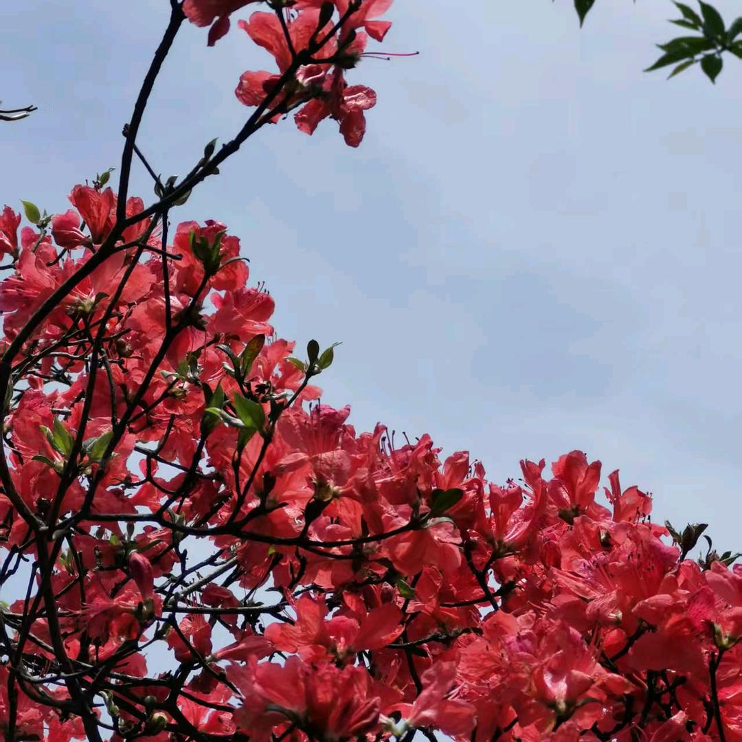 浅时光⁹²⁸⁸