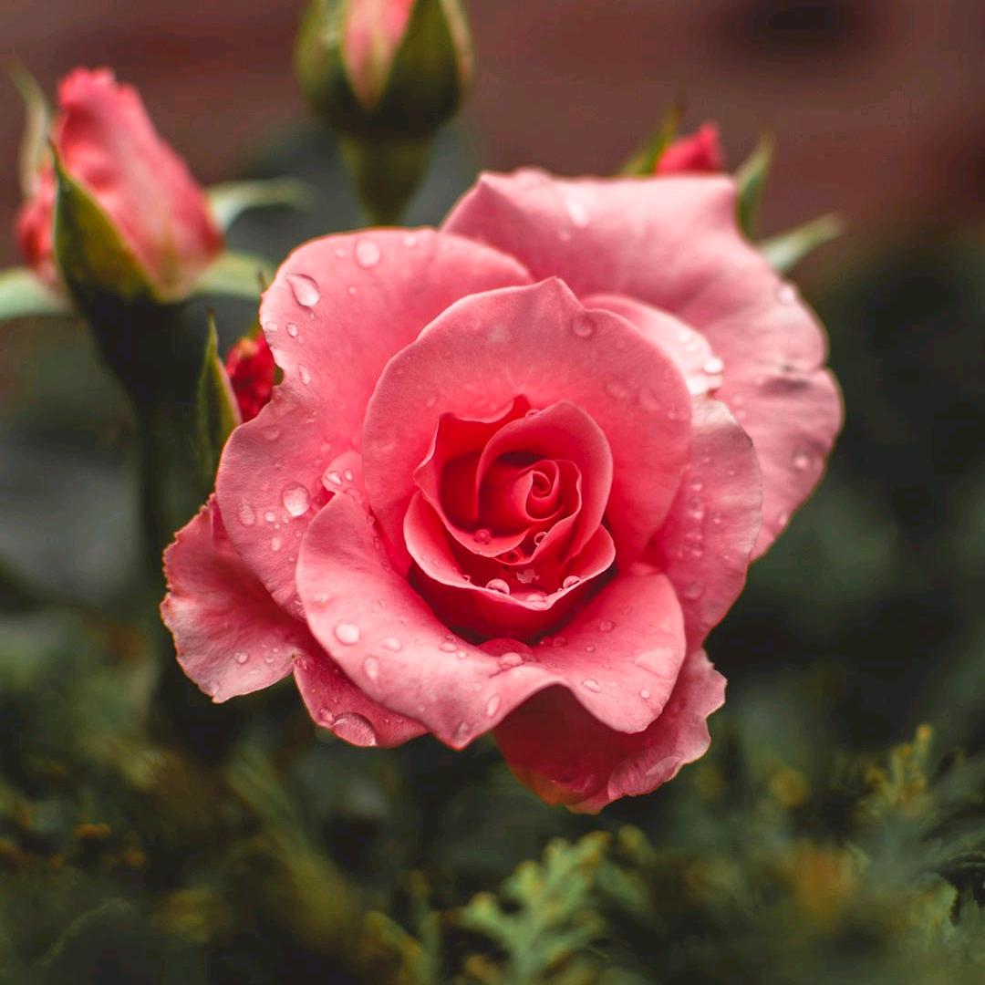 赚钱 如何高效创业