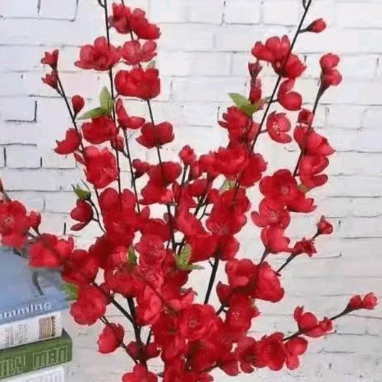 踏雪寻梅