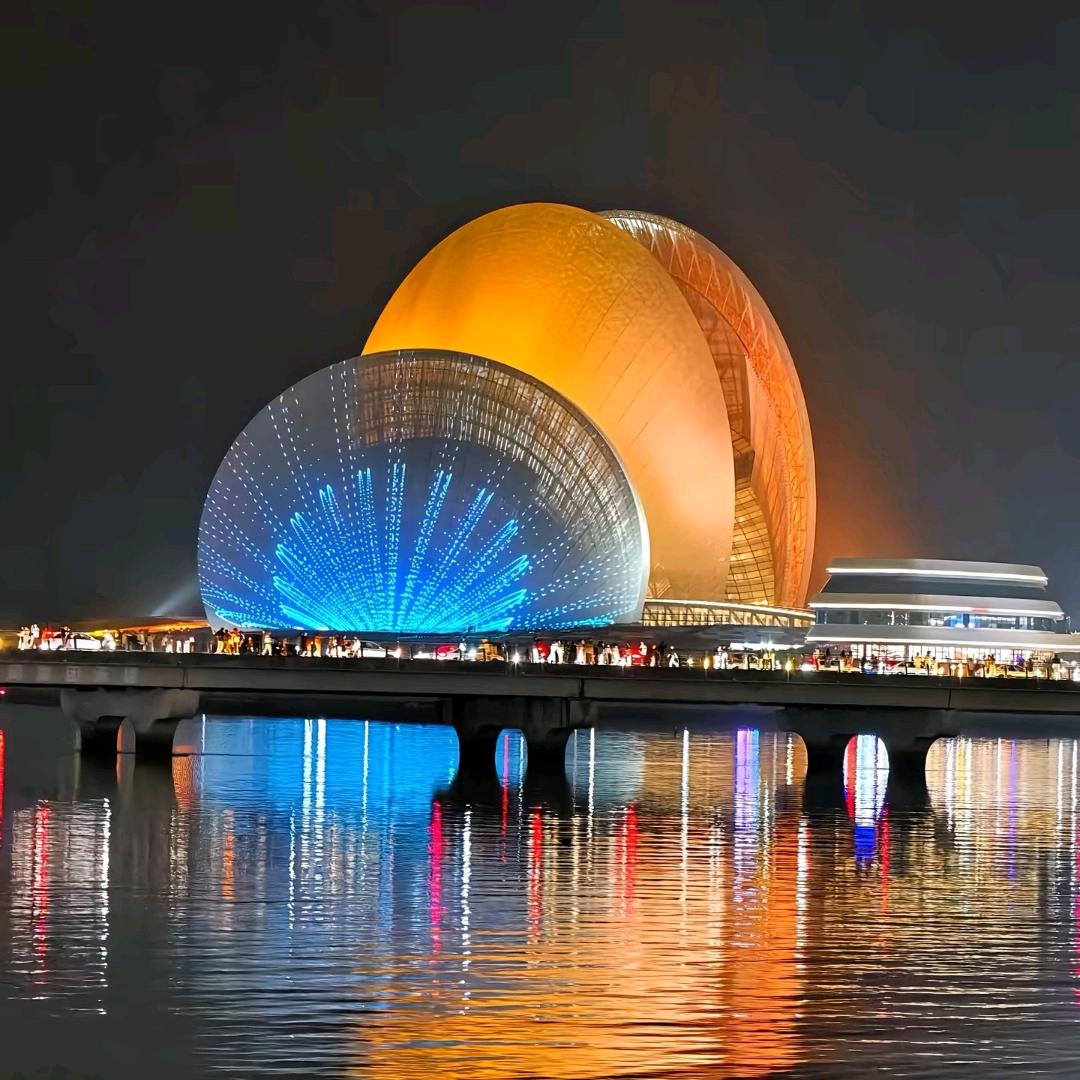 流浪城市中的招财猫