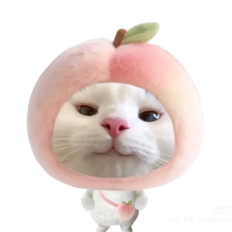 @大盼