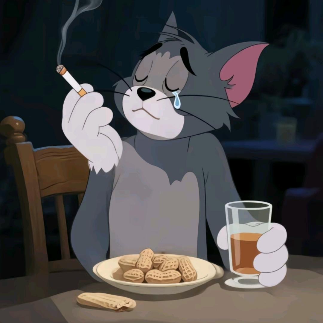 偷来的一场美梦.