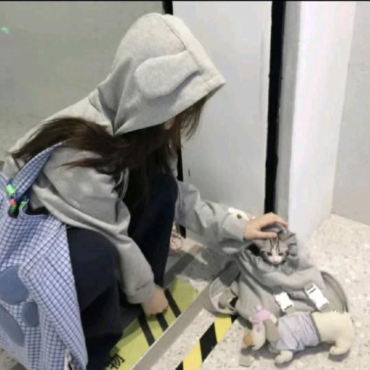 呆.