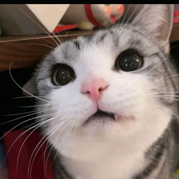 权