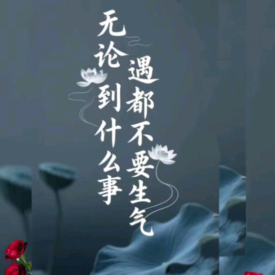 沉默  （小号）