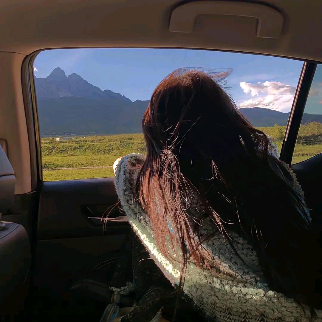 摆不赢就躺🛋️