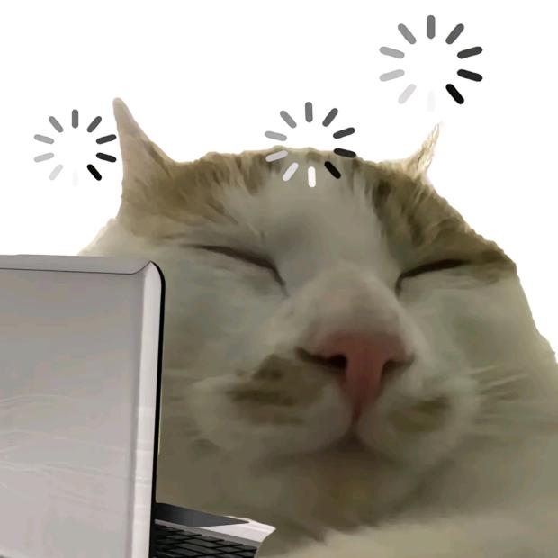 芝士哈气饕