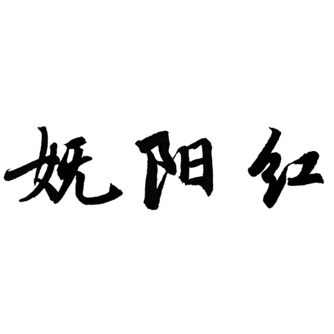 妩阳红食品企业店