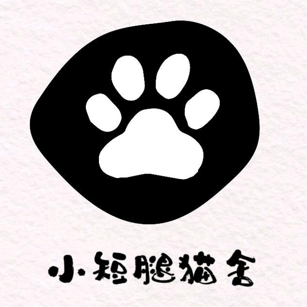 小短腿猫舍_欢_
