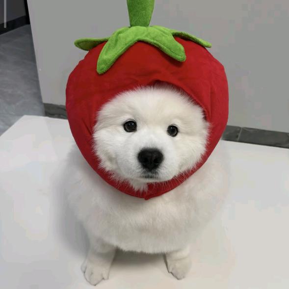 痘痘肌滚远点