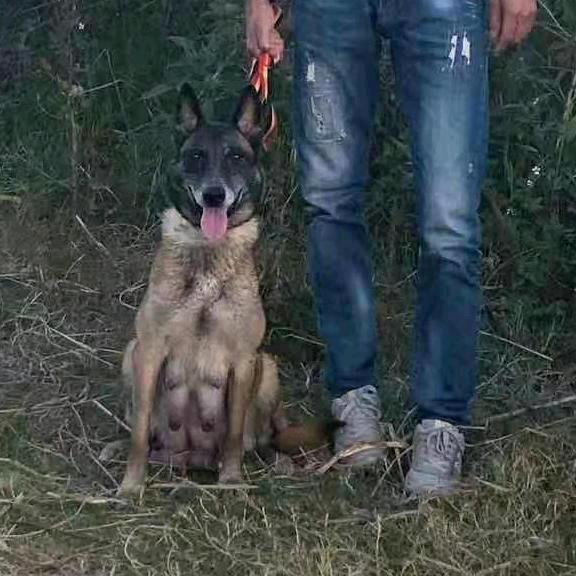 保山 （轩榆）🐕‍🦺