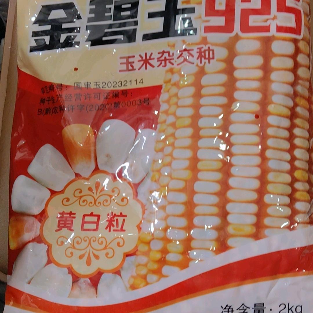 李朝文