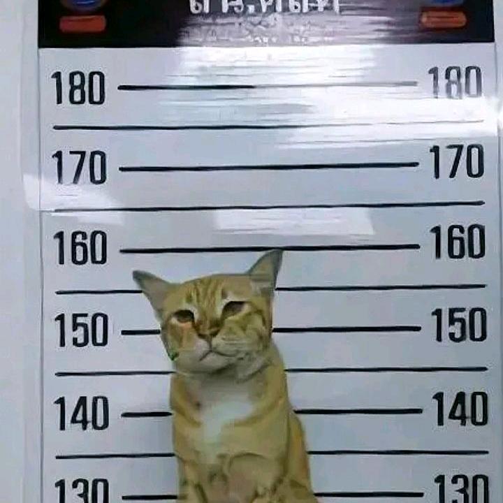衣柜收纳