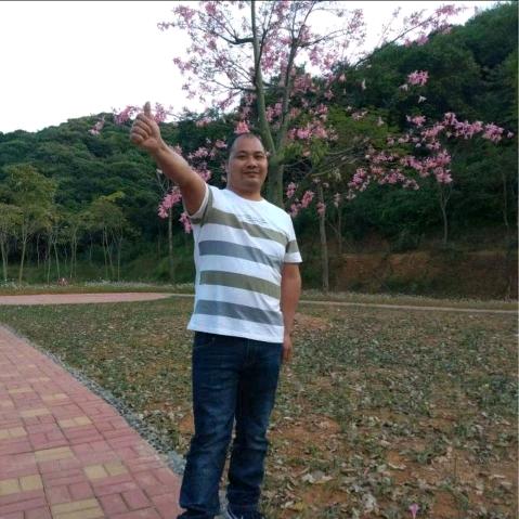 马到功成