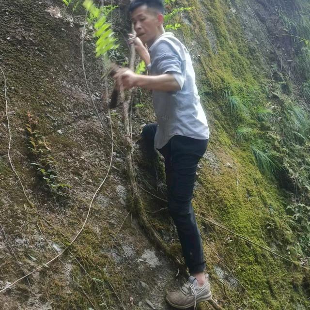 行走大自然