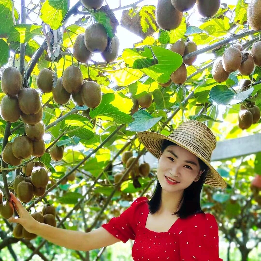 李四（猕猴桃）