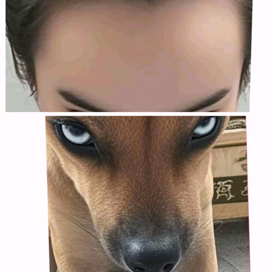 甜心宝贝