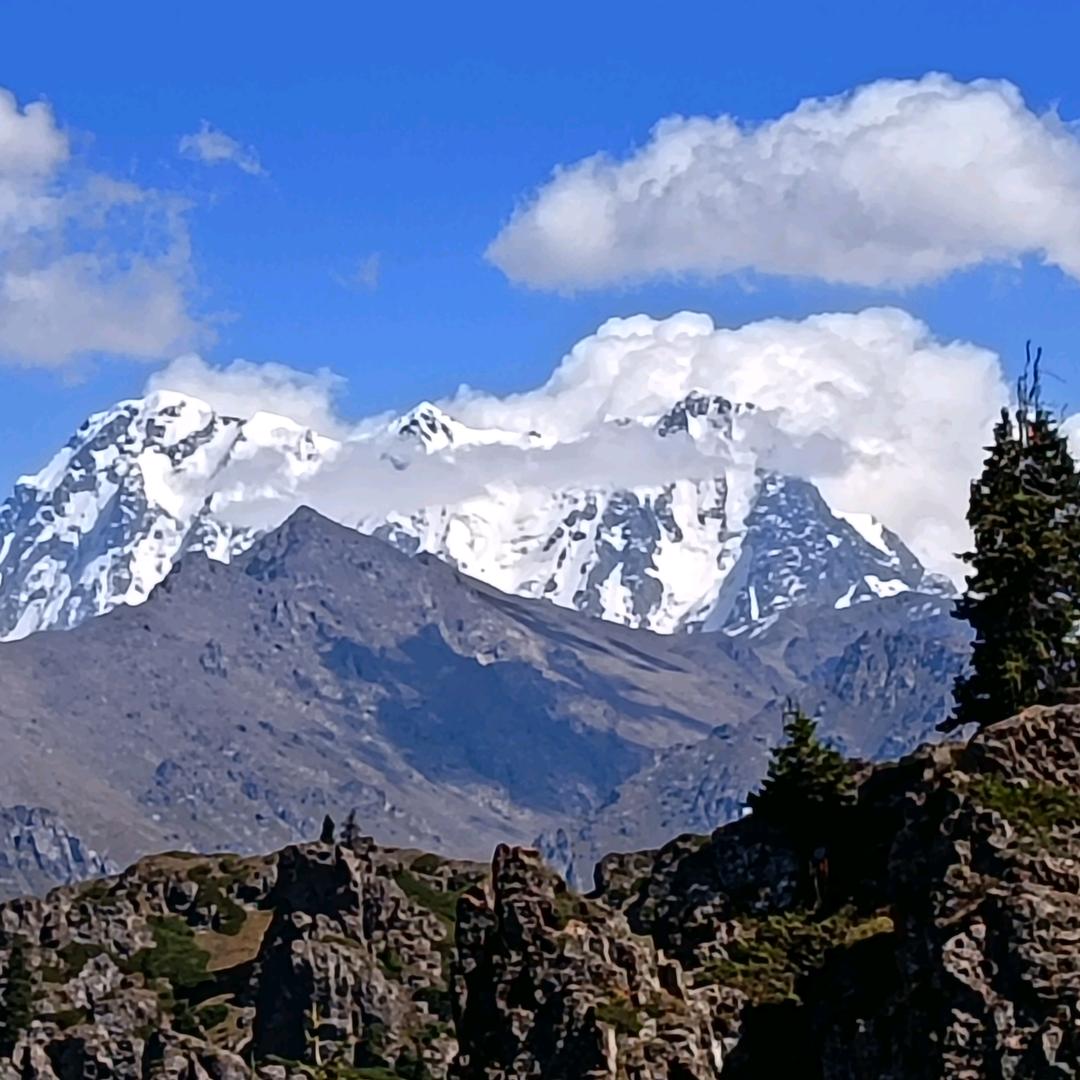 山木与燕