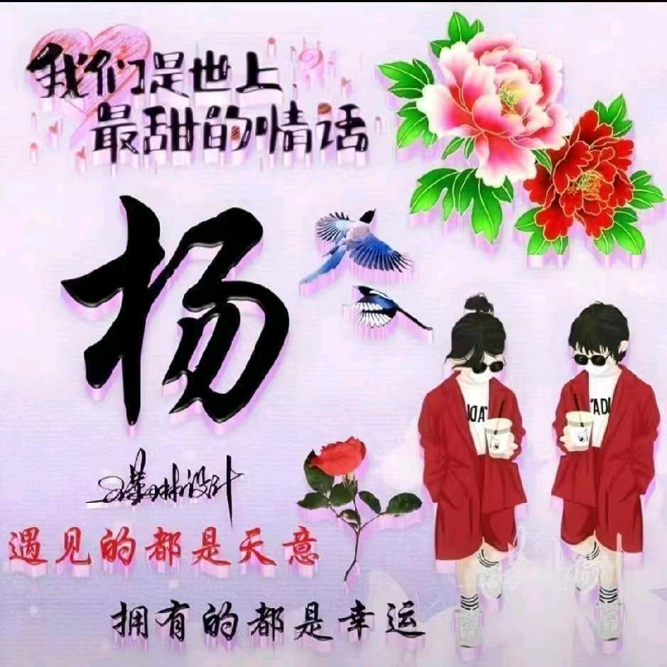 广西杨姐