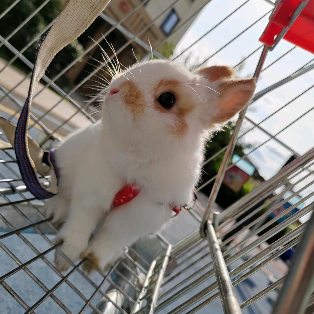 壹田研学