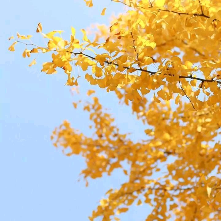 泪水是说话的表情💞