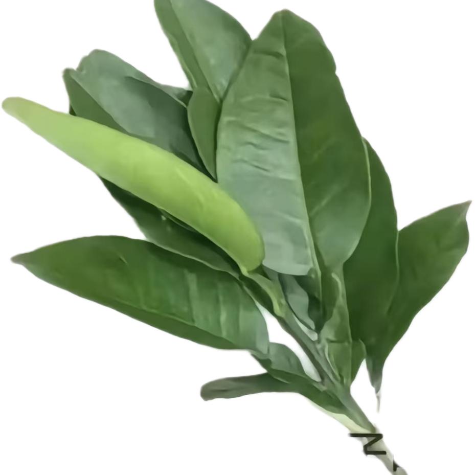 不过就是炸