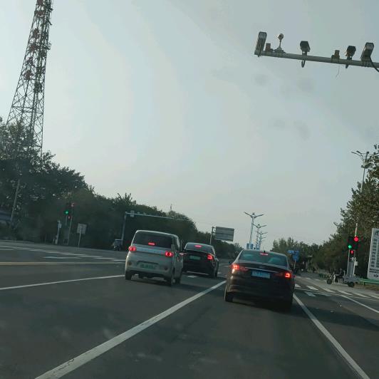 阳，💃光，🌴