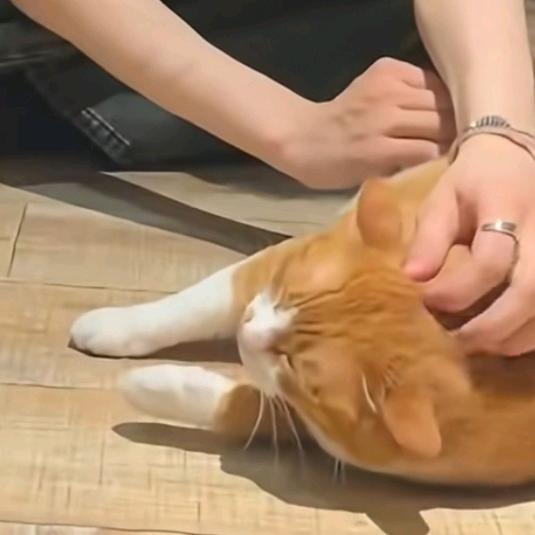 你可以在横点