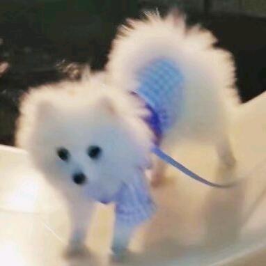 湖北老阿姨