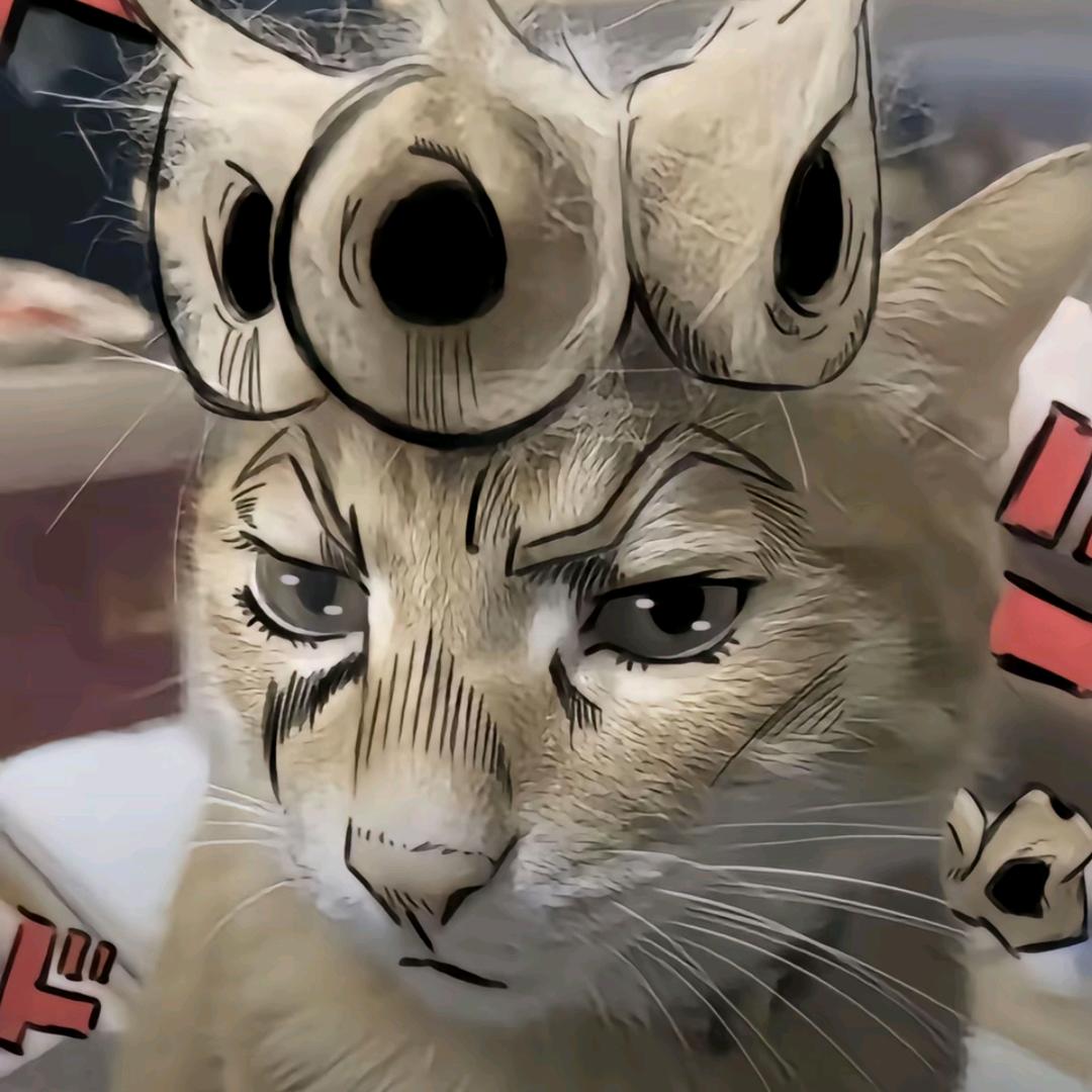 ฅ ̳͒•ˑ̫• ̳͒ฅ木易♡🐱