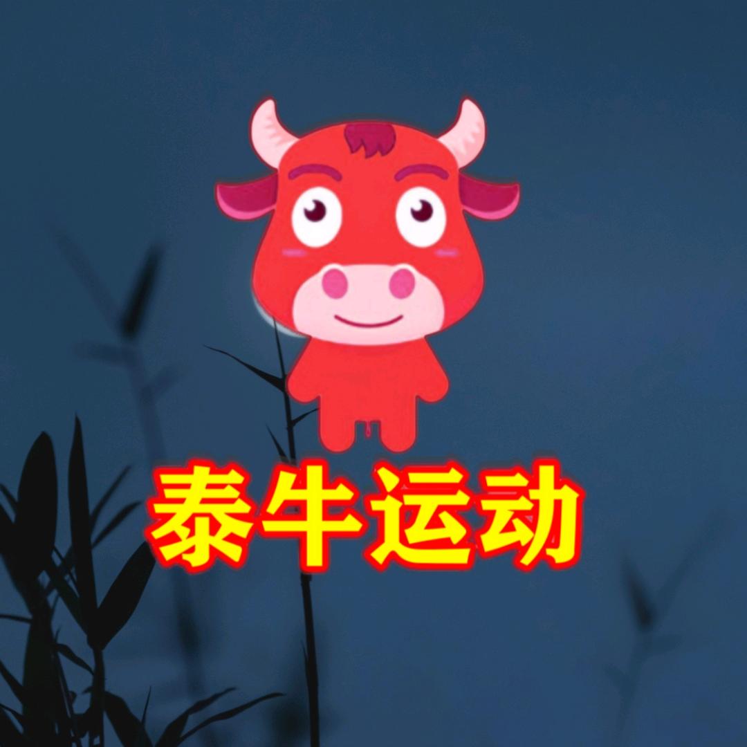 泰牛体育专营店
