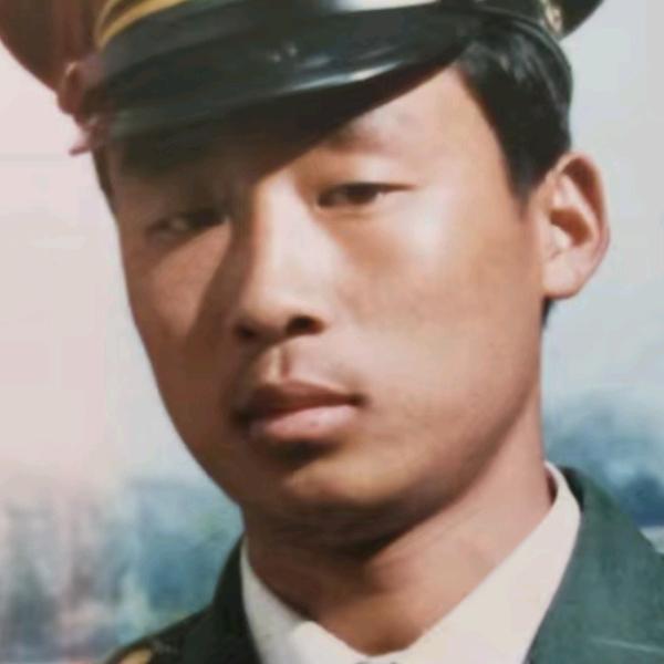 山东柏树盆景黄哥