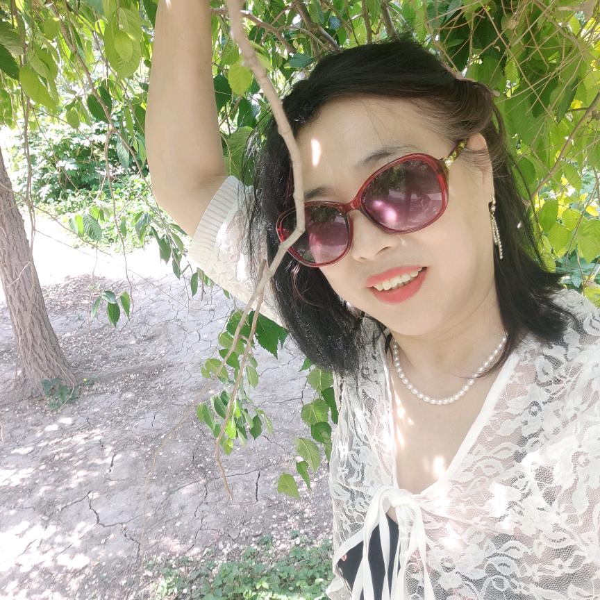 贾姊妹