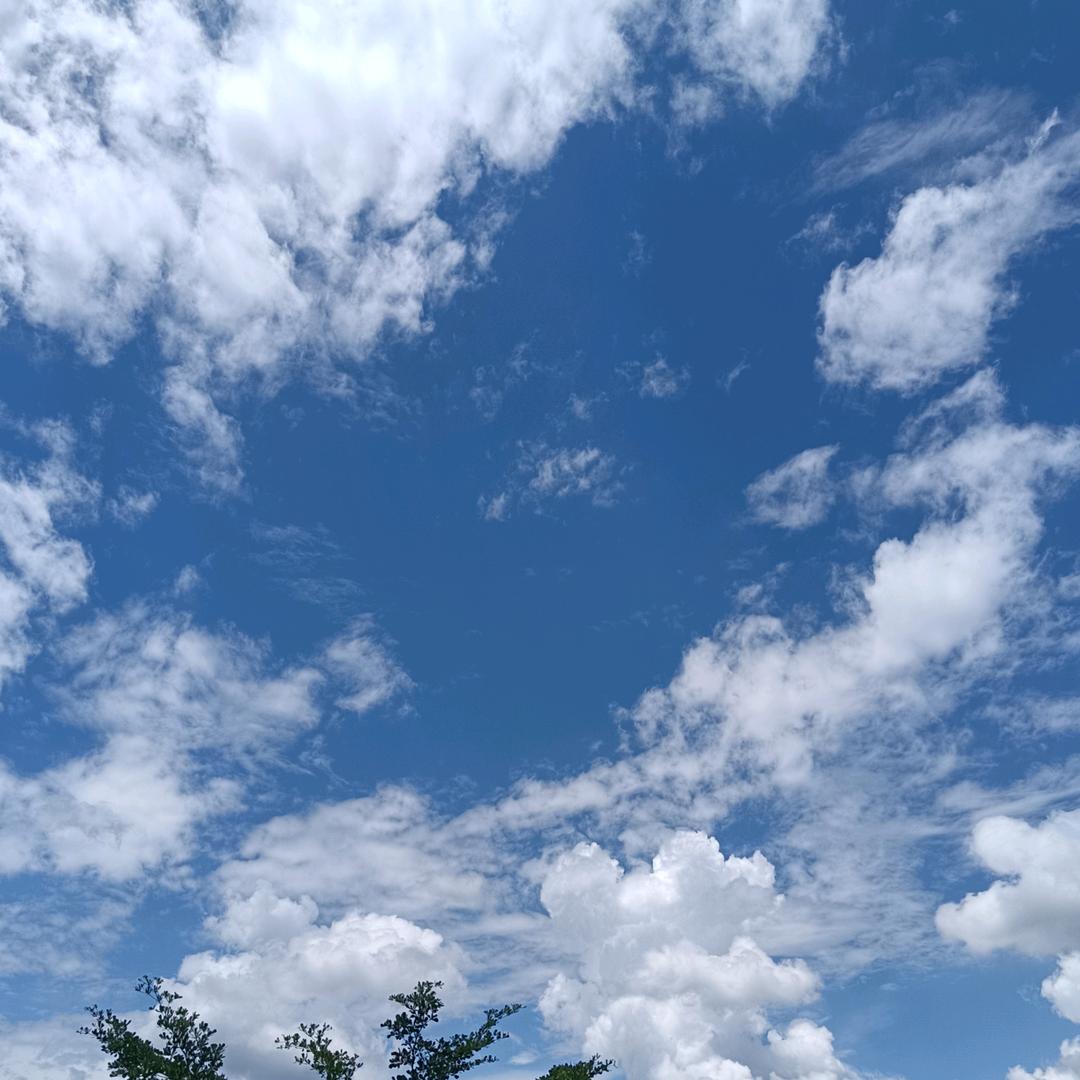 睿睿¹