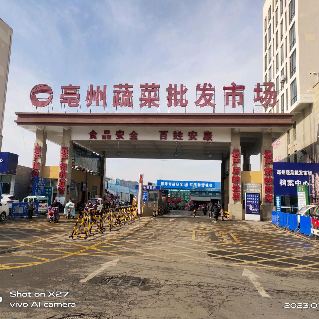 亳州蔬菜批发市场的老张