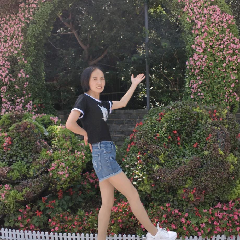 坚强的玫瑰🌹🌹🌹🌹🌹🌹