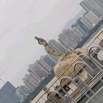 为了明天