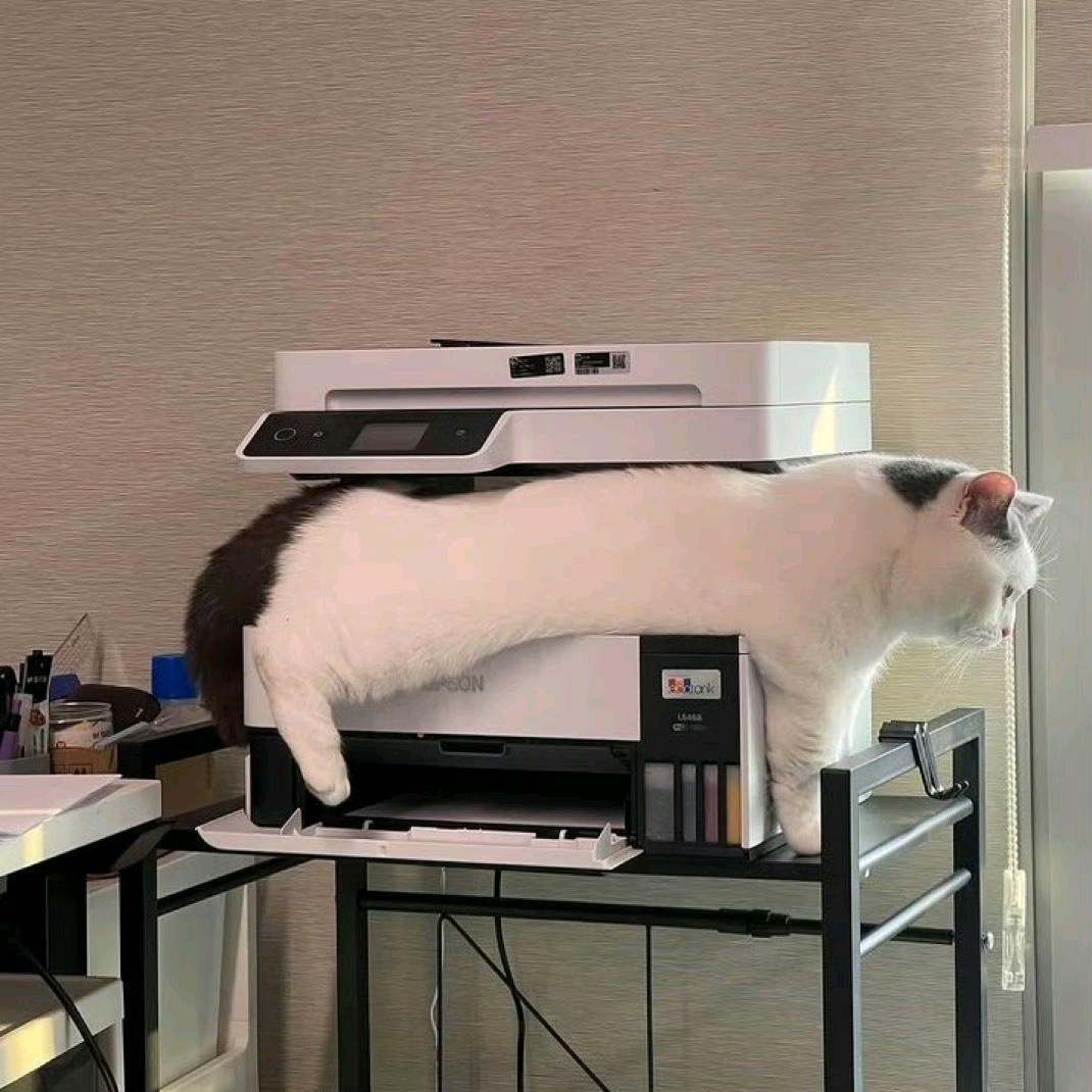 亿万的减脂日记