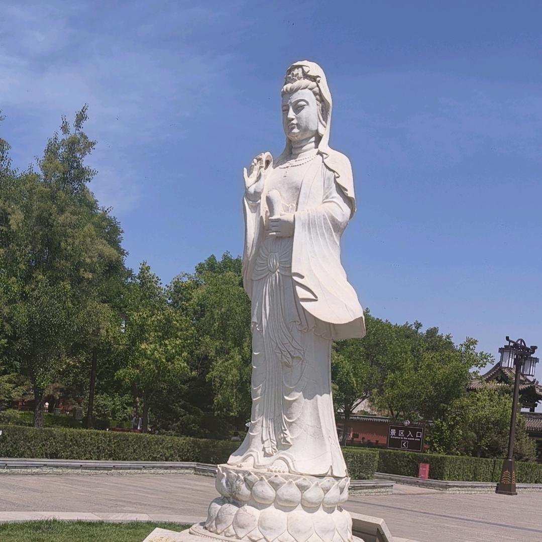 张主任