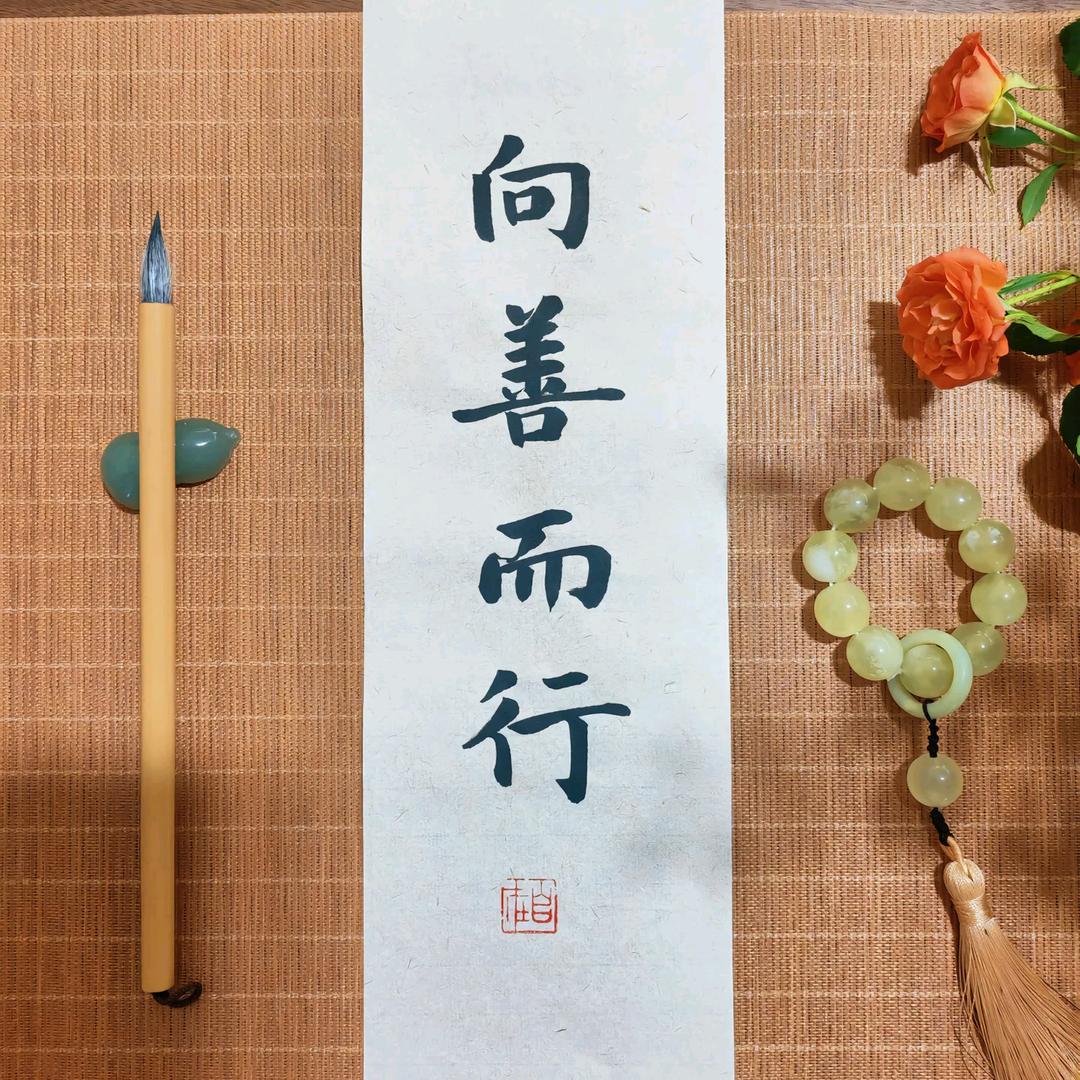 向善而行