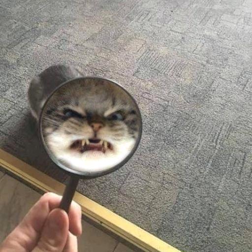 ㊝