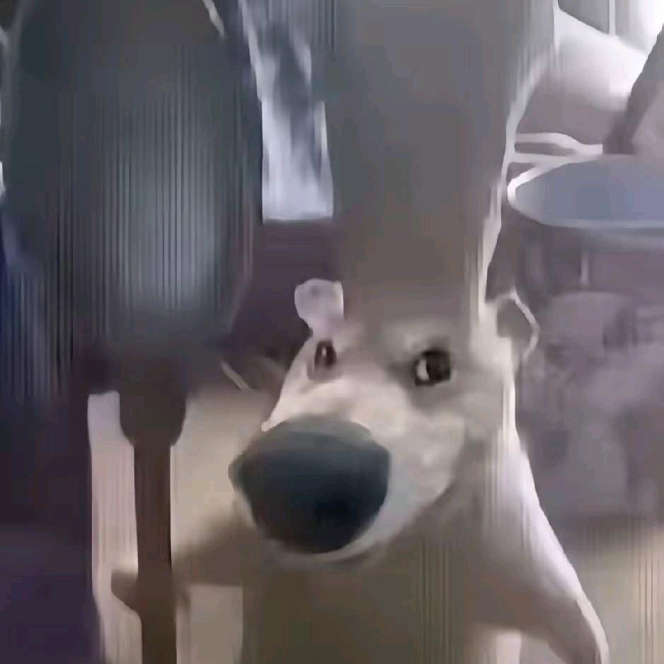 阿忆