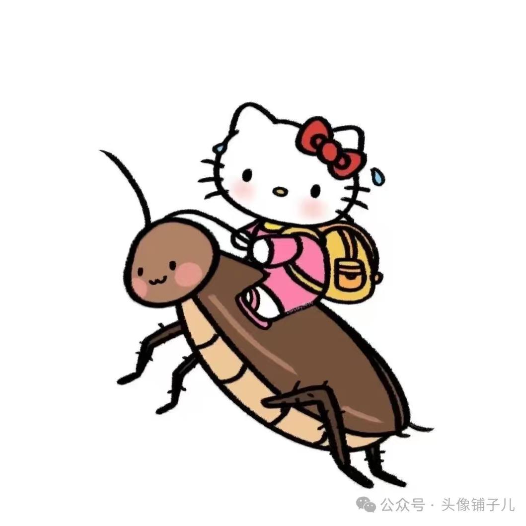 AAA建材胡鸽